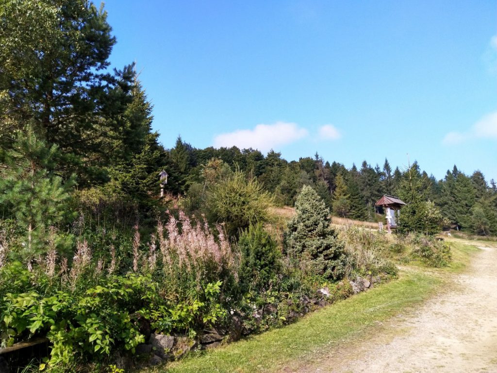 Img 20210904 091144 1