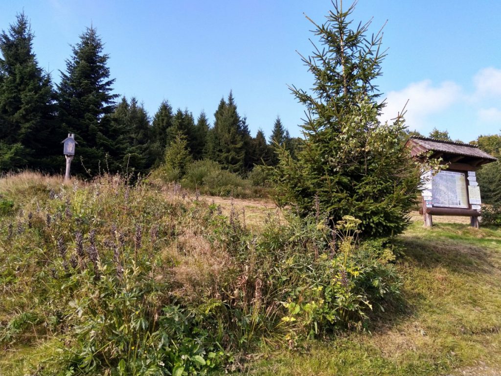 Img 20210904 091211 1