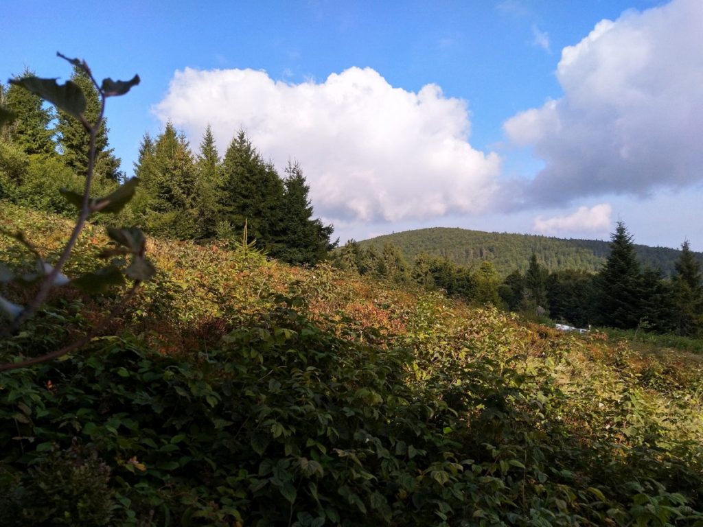 Img 20210904 100253 1