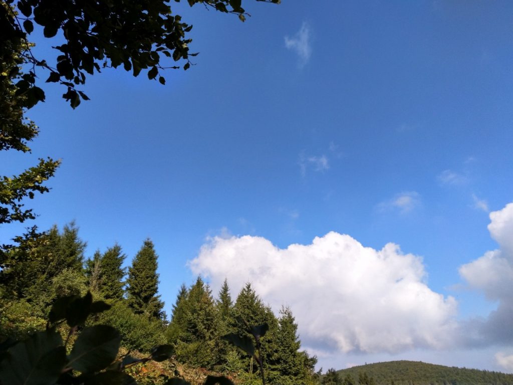 Img 20210904 100306 2