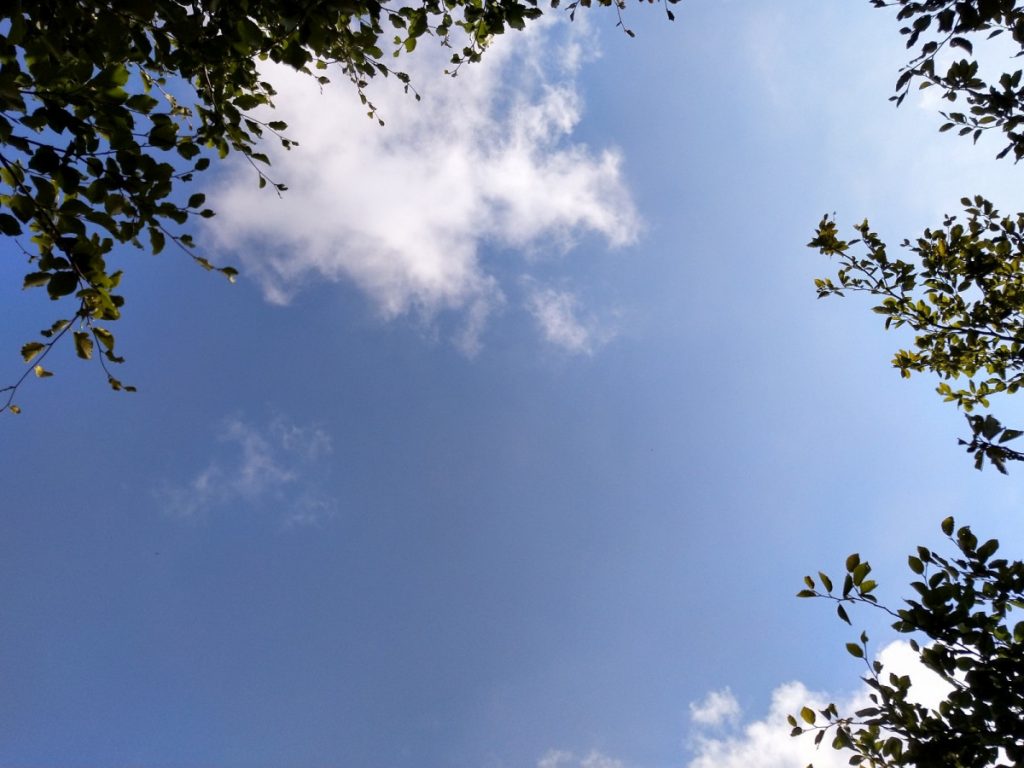 Img 20210904 100317 2