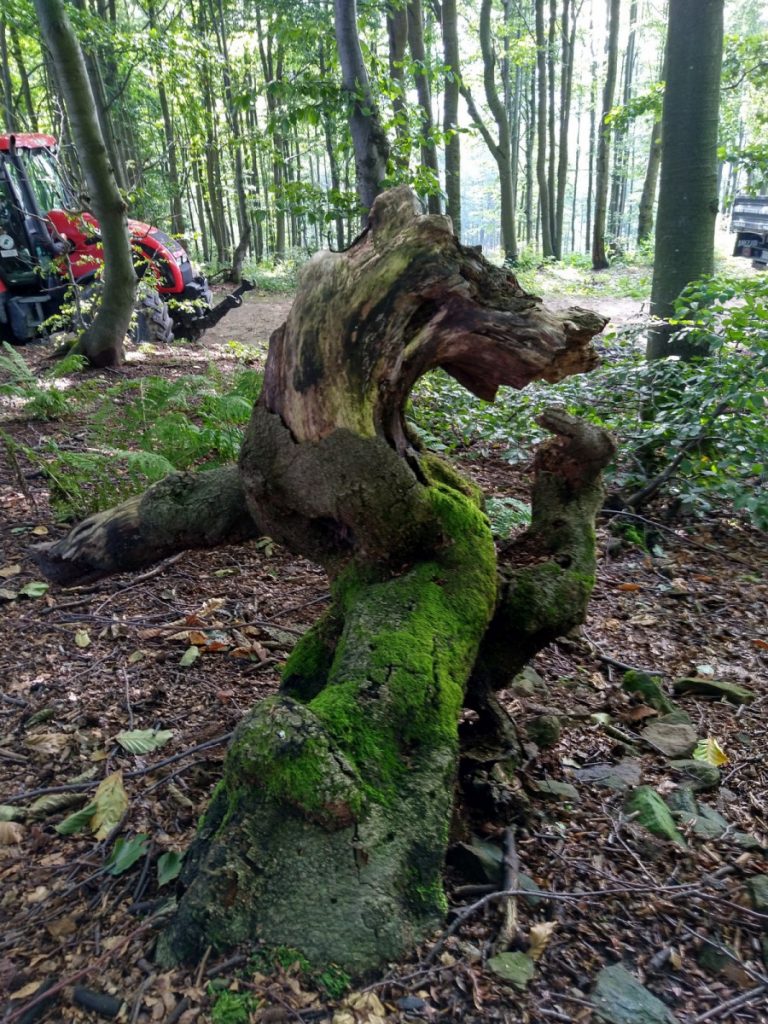 Img 20210904 100505 1