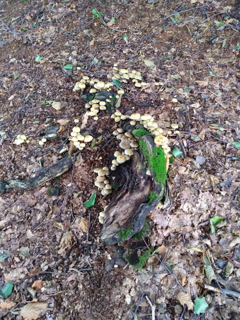 Img 20210904 100627 1