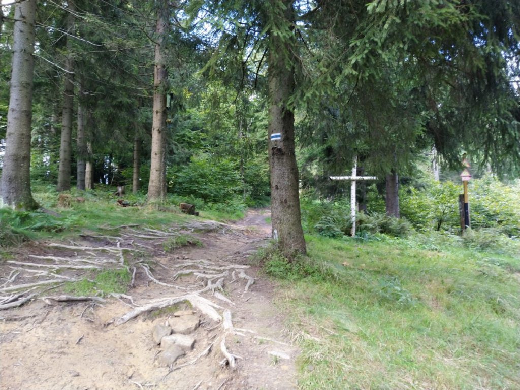 Img 20210904 101428 1