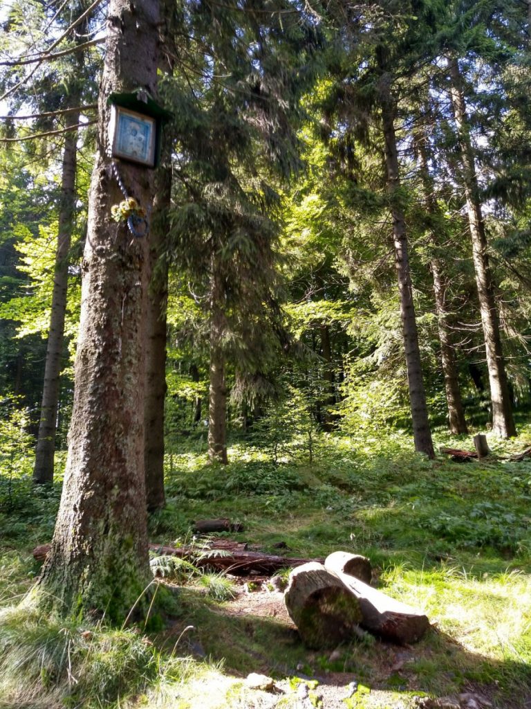 Img 20210904 101500 1