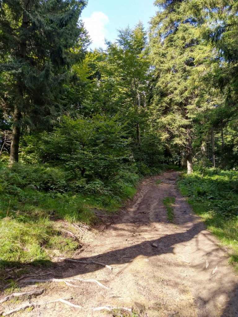 Img 20210904 101513 1