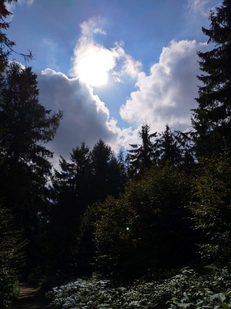 Img 20210904 101608 2