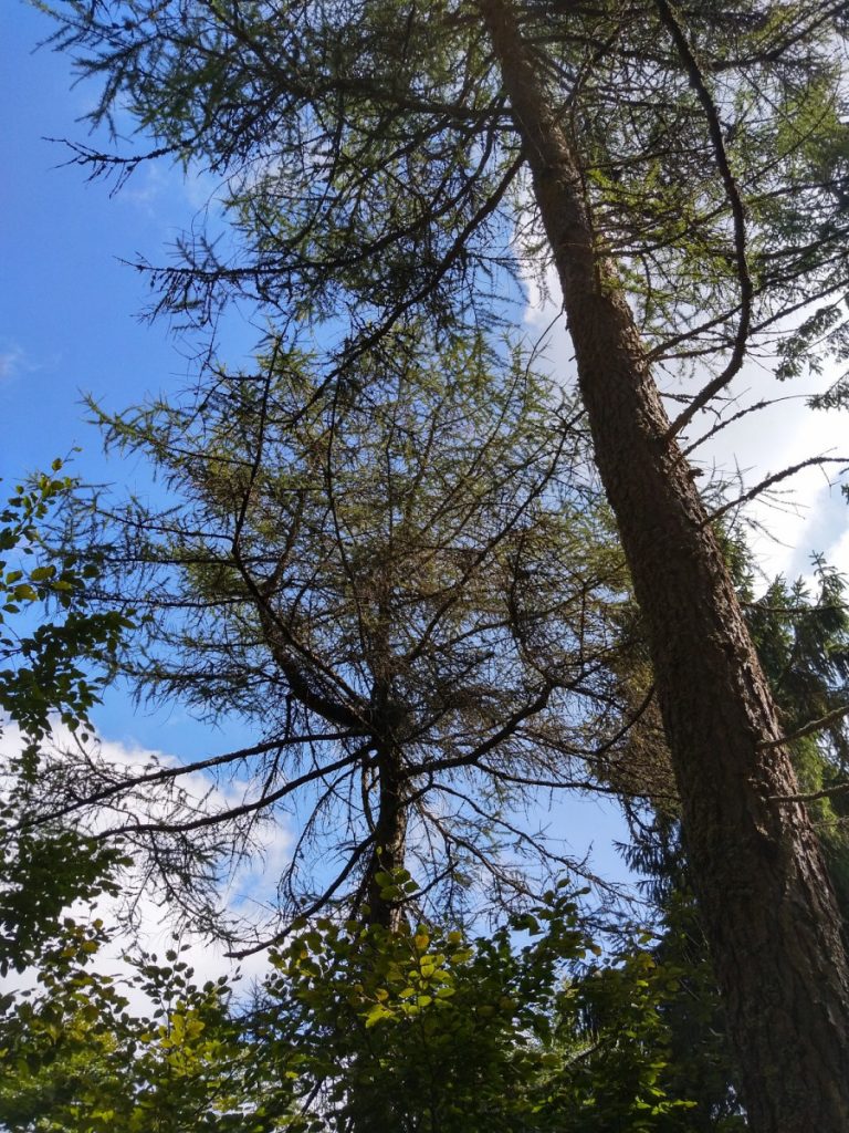 Img 20210904 101716 1