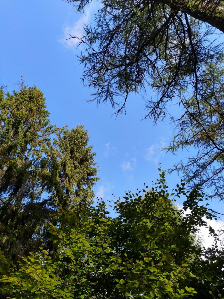 Img 20210904 101722 1