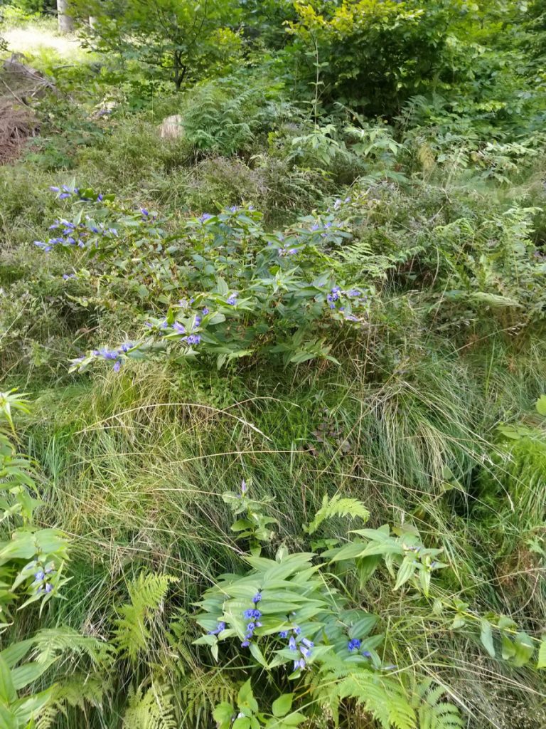 Img 20210904 101831 1