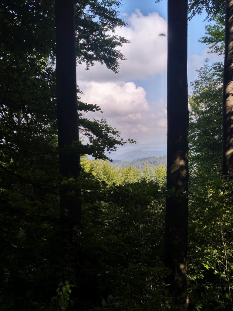 Img 20210904 140801 2