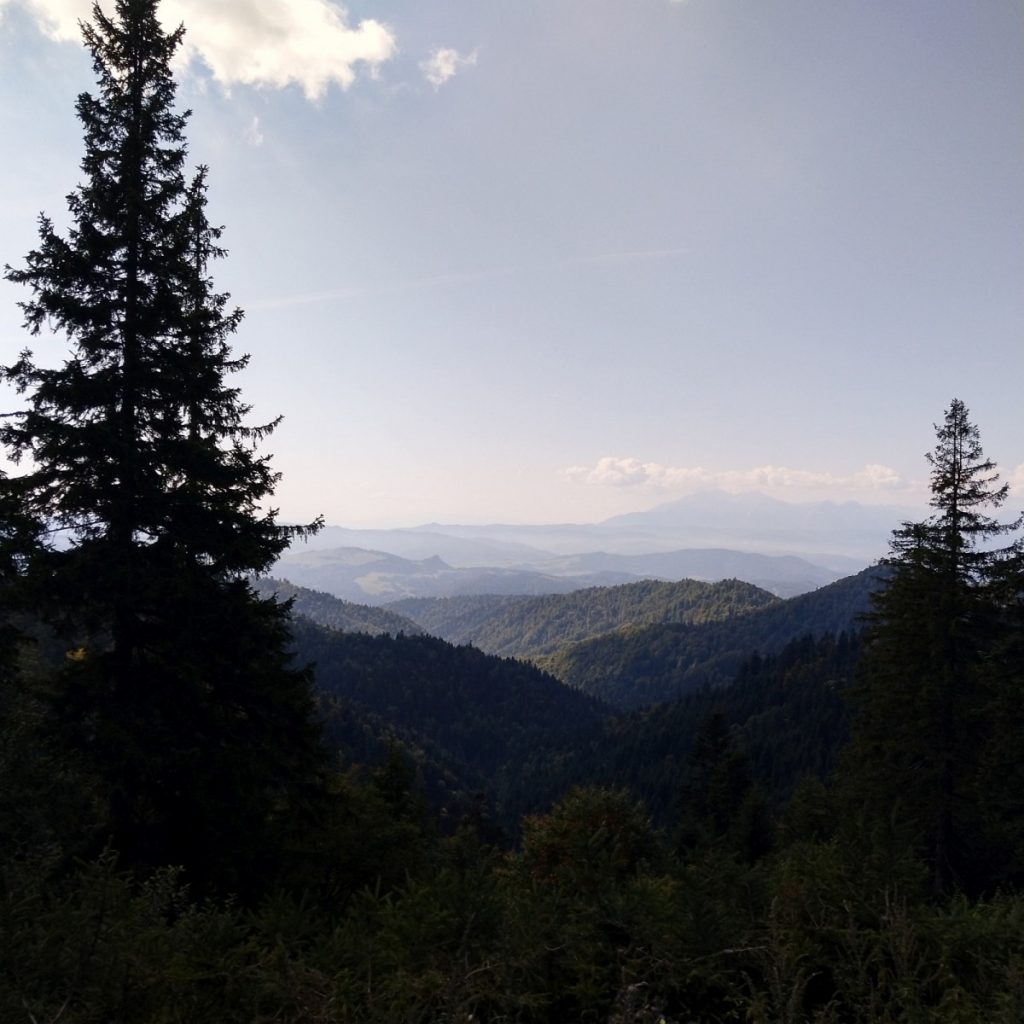 Img 20210912 112806 1