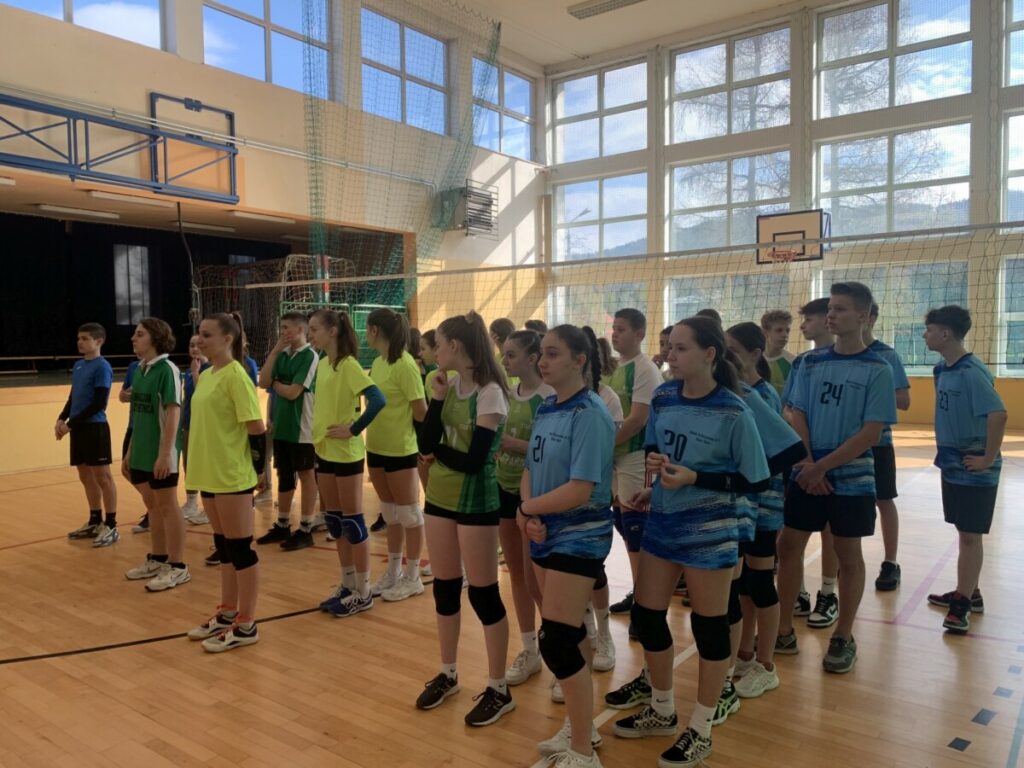 536ccdb7 F796 4f81 B8a5 78bfccdf7568