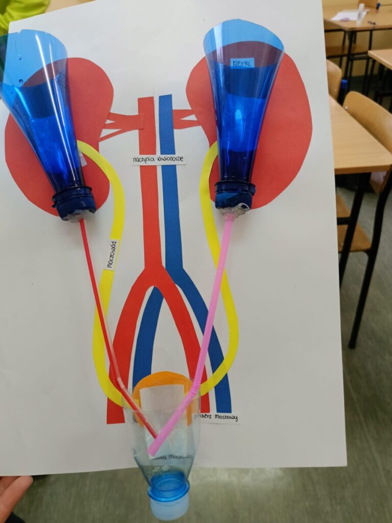 3ec42515 A64b 4539 8b9e D336ddb1e75a