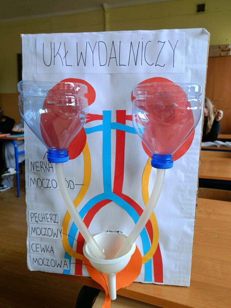 54eb57c8 9587 4057 86fb F344f0d05aee