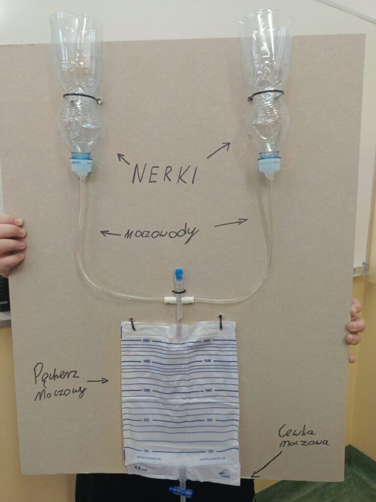 84bd769f 1fd6 4e87 B1b7 3e19783d3121