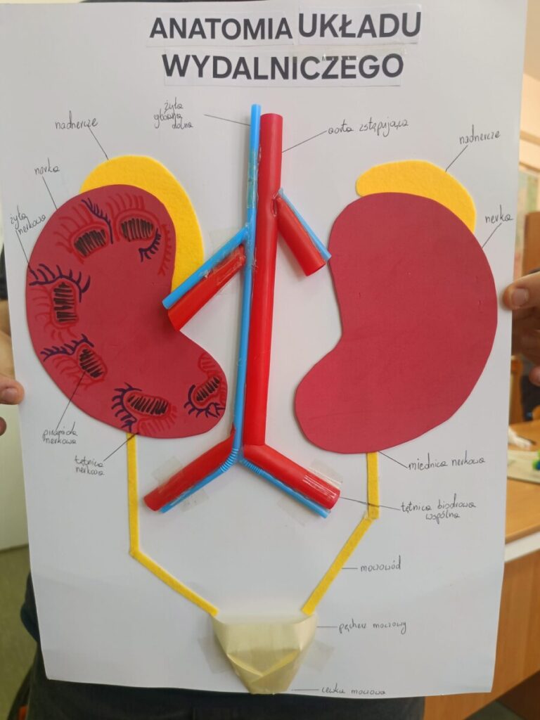 89e36953 A39c 4dfa 9f28 53622a352455