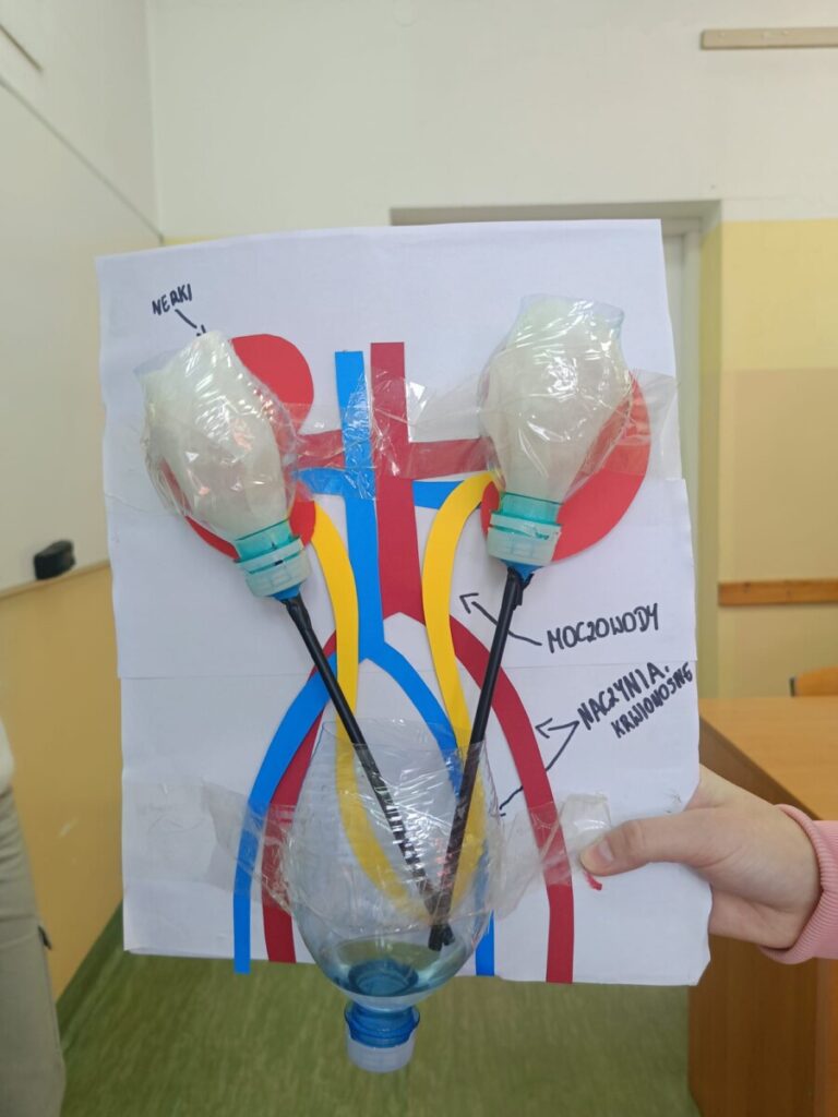 98bb3c30 B3f6 4fe1 8997 074cf3555a68