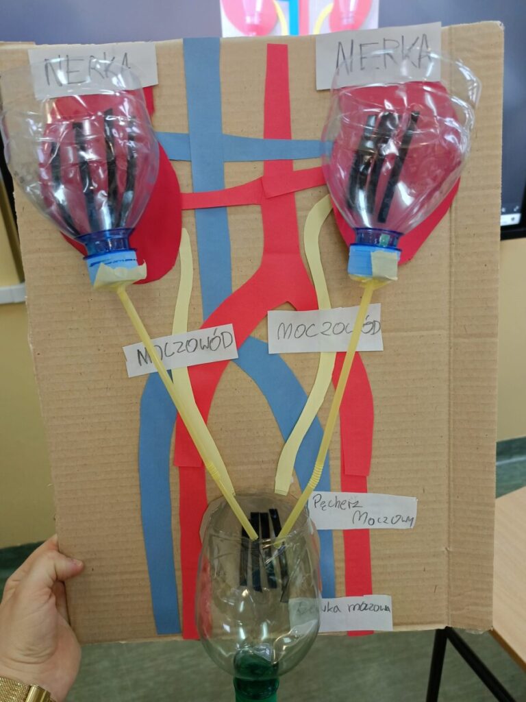 9f640d54 Afd6 48e1 B8a2 B770f8f41eb2