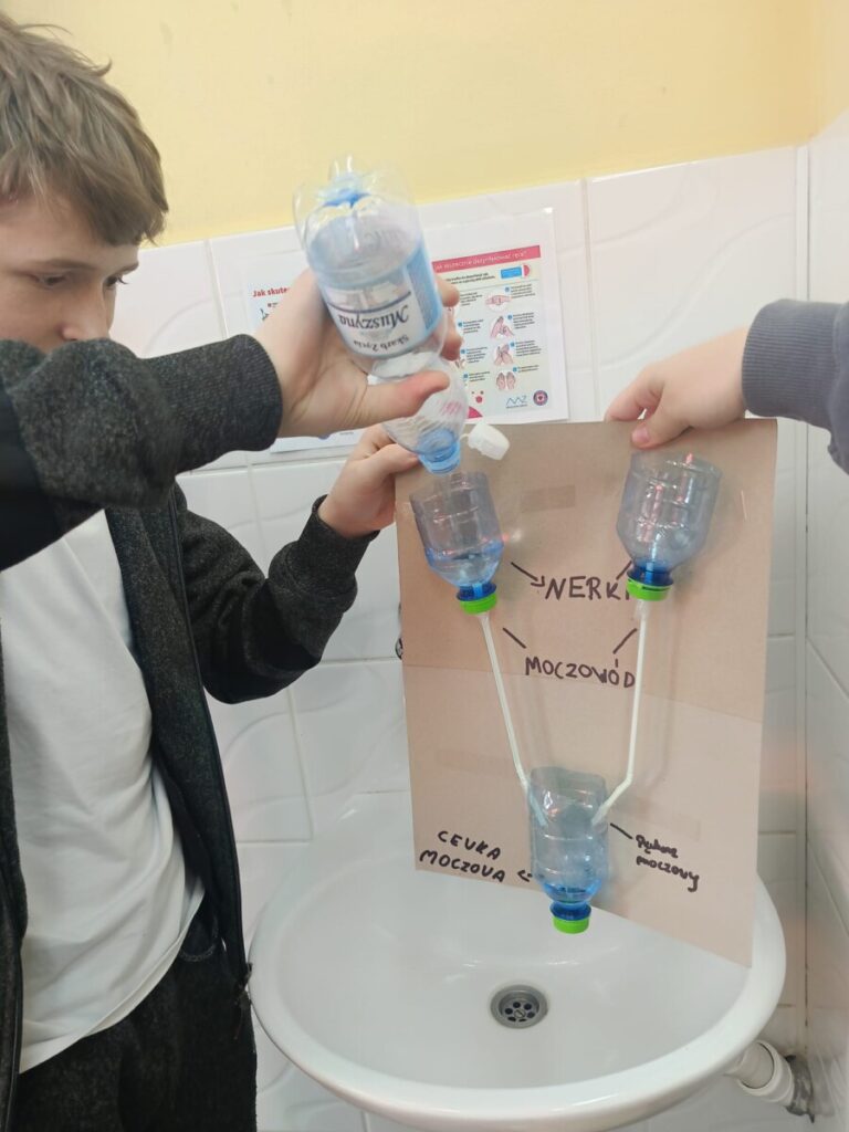 D8653b85 A0f1 4a26 Bfc3 5c568eda9d3b