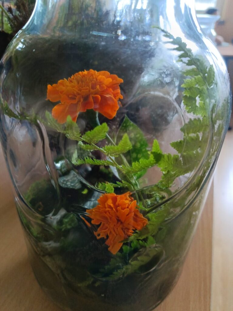 1172f30c 417c 4afc 8d3a 80b798771d44 1