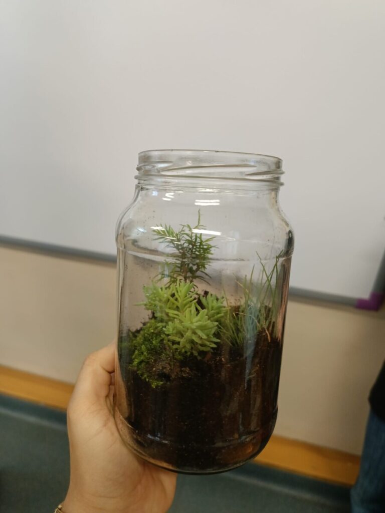 1740601e Ddf2 4607 B702 Aa325262689e