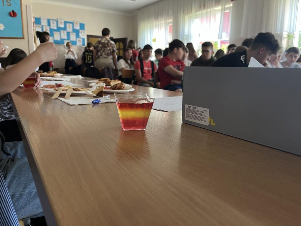 496508863 703788972252773 4254580368170470098 N