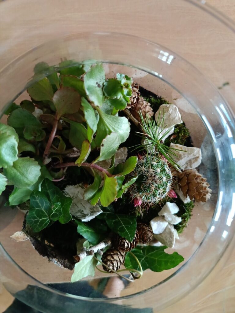 4ce74930 77a3 45b4 92e7 F3deed27e685 1