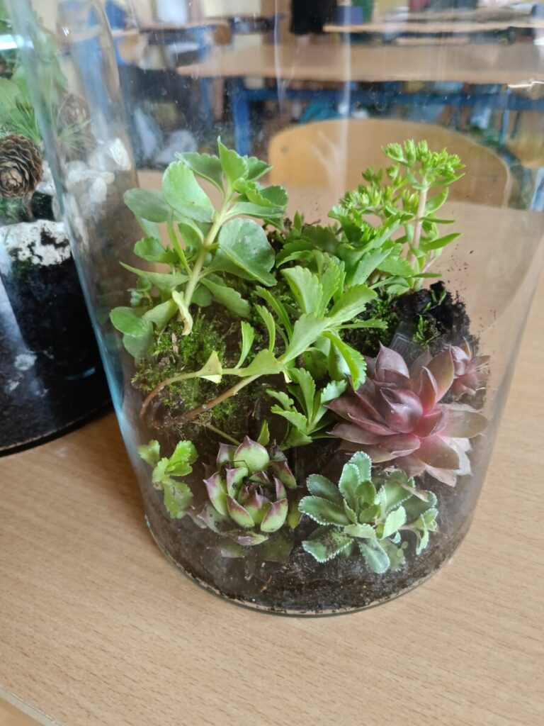 80ed0ae2 B502 43cb Bc60 49b8bfd74dfc 1