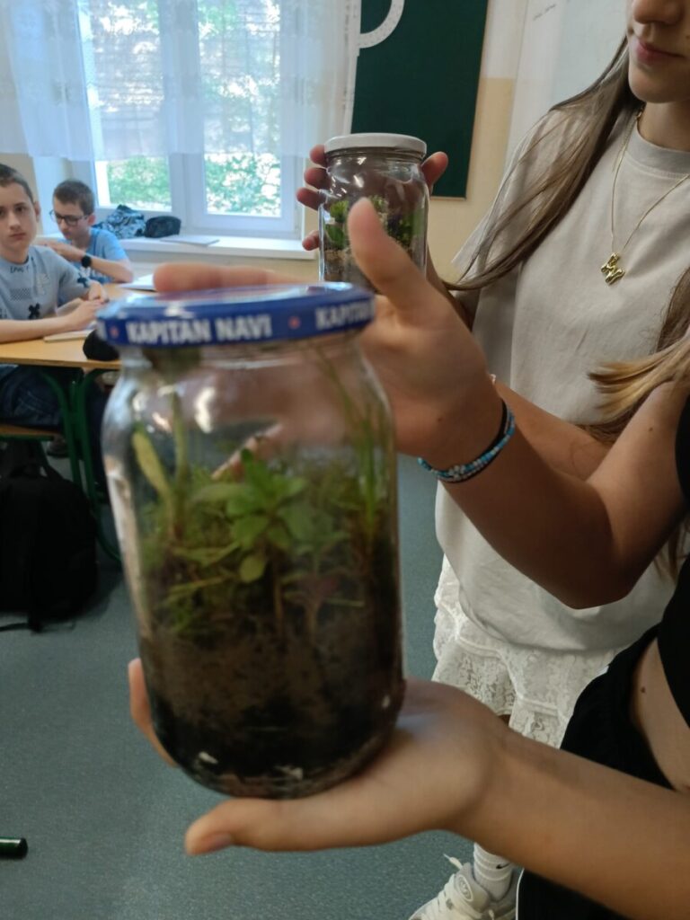 8a5b75c7 0846 40a4 Be62 9fdd984b4882 1