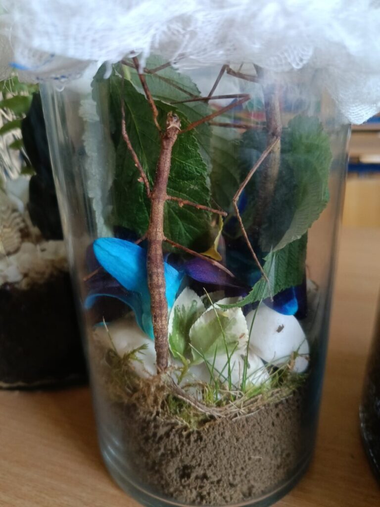 8cc46828 A149 4662 8725 139d9f844aea 1