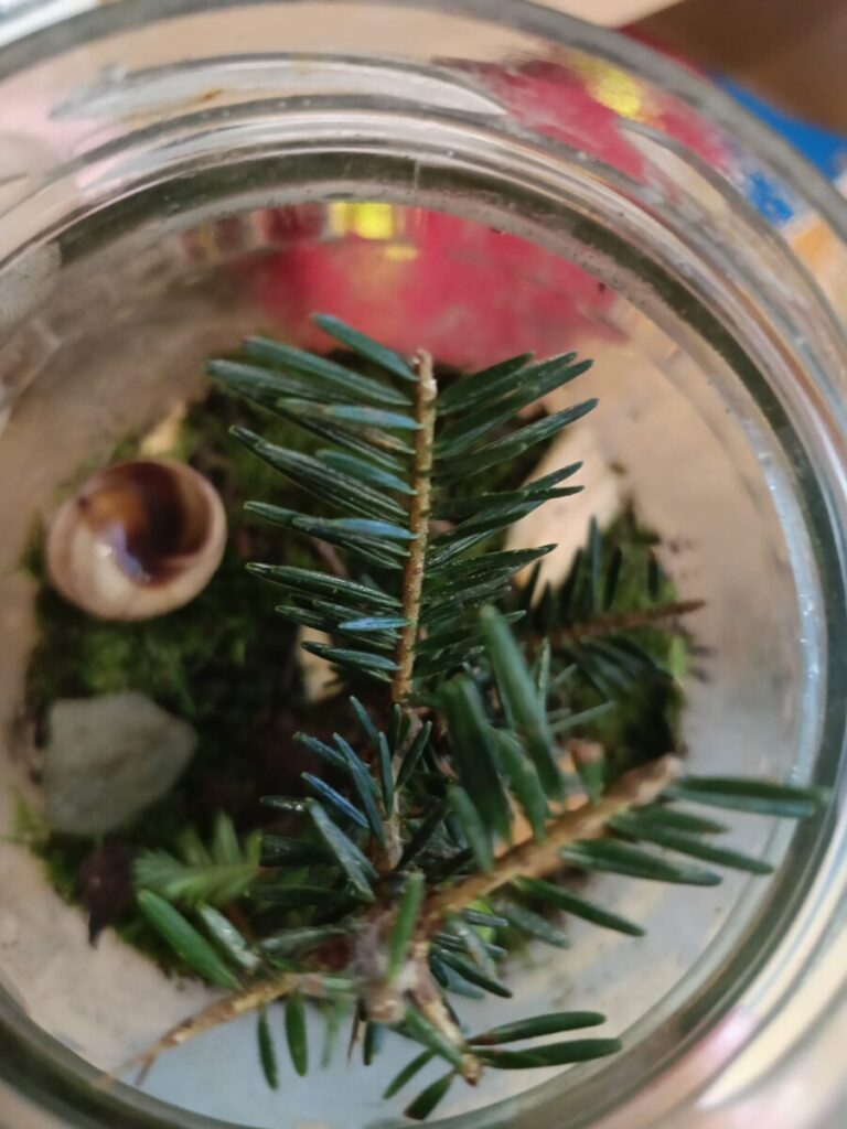 91904635 88af 424a A38e 22266788742b