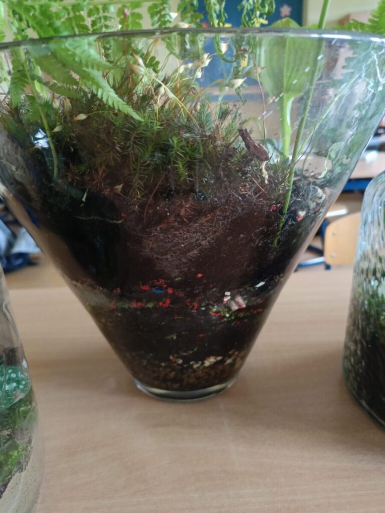 D55d1ad6 5b91 4b30 9092 4be06a7f2763