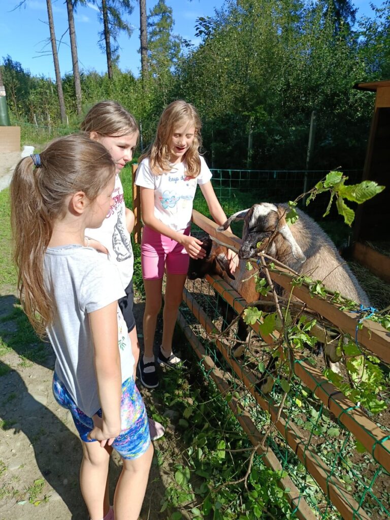 Whatsapp Image 2025 09 22 At 20.32.49 6