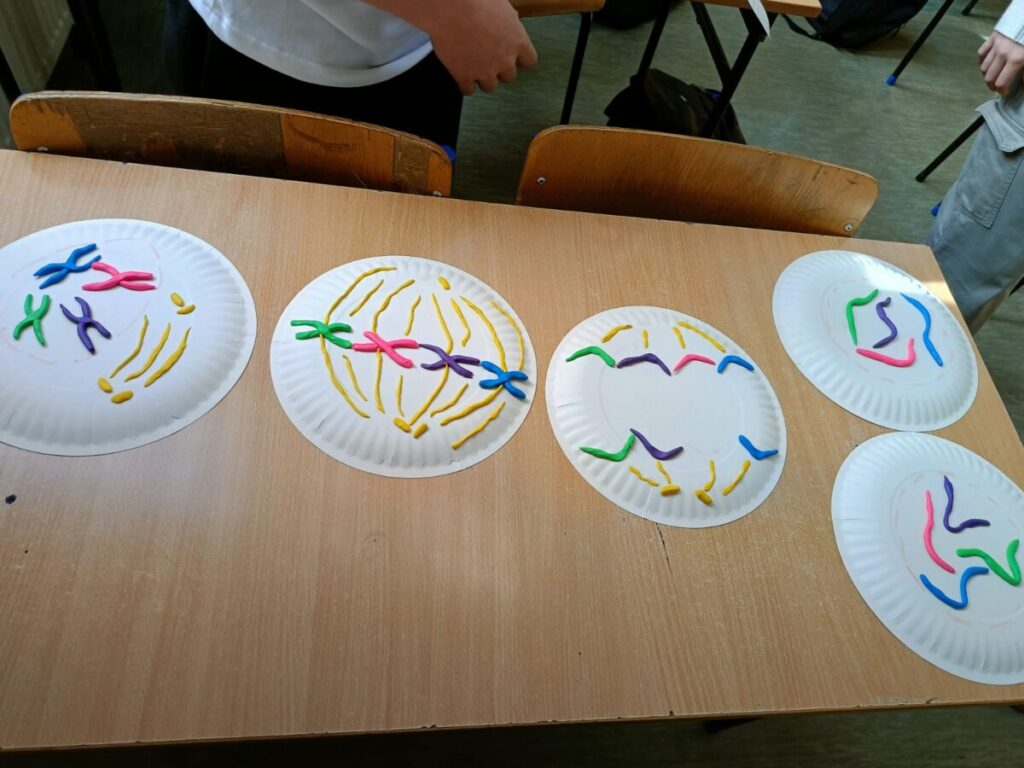 Whatsapp Image 2025 11 16 At 17.15.02 4