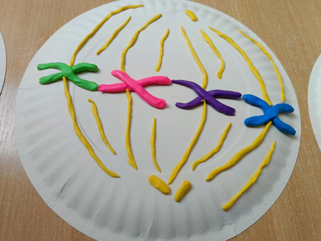 Whatsapp Image 2025 11 16 At 17.15.02 5