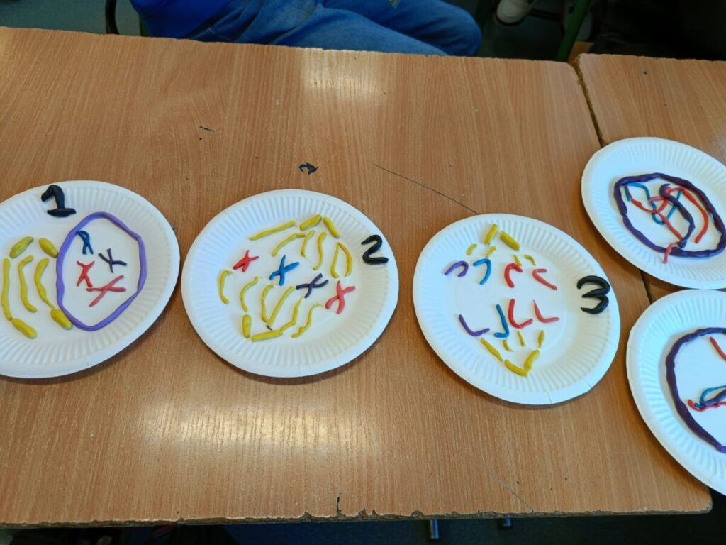 Whatsapp Image 2025 11 16 At 17.15.02 7