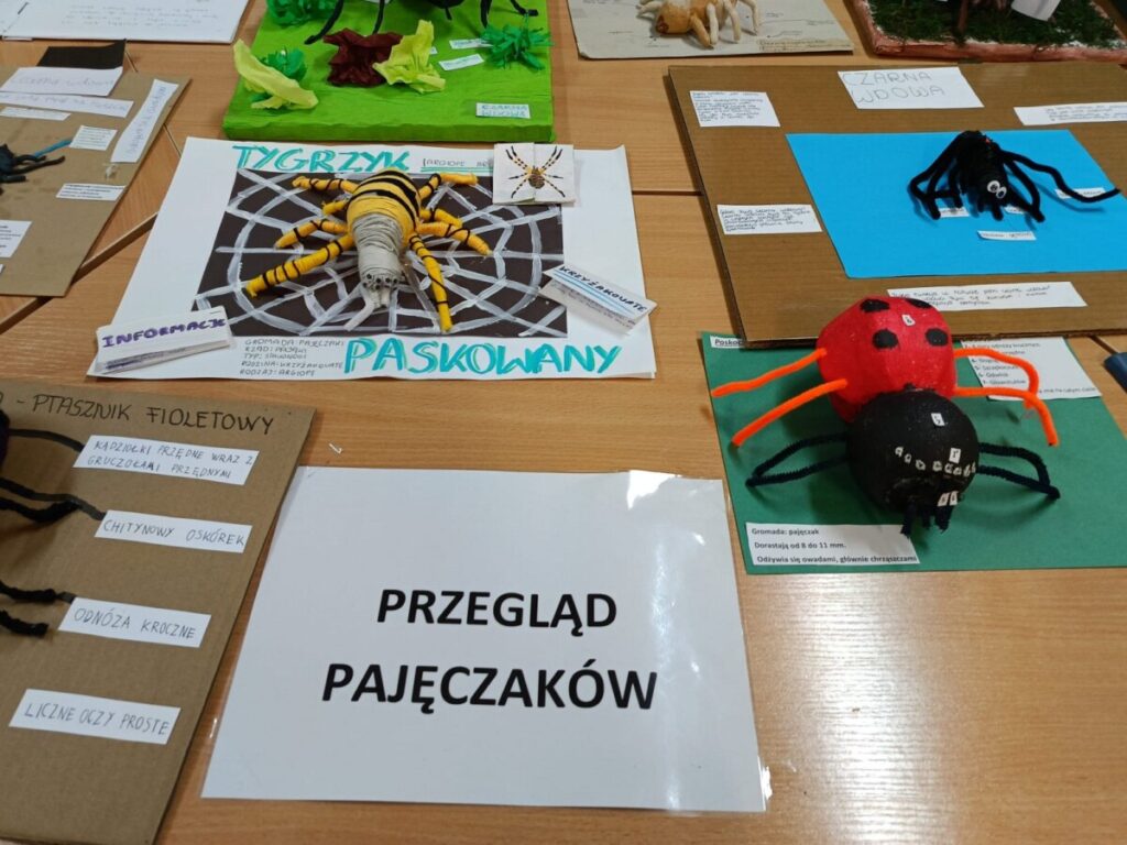 09b9e781 Ac4c 40ab 991b 6bd3bd8e63a6