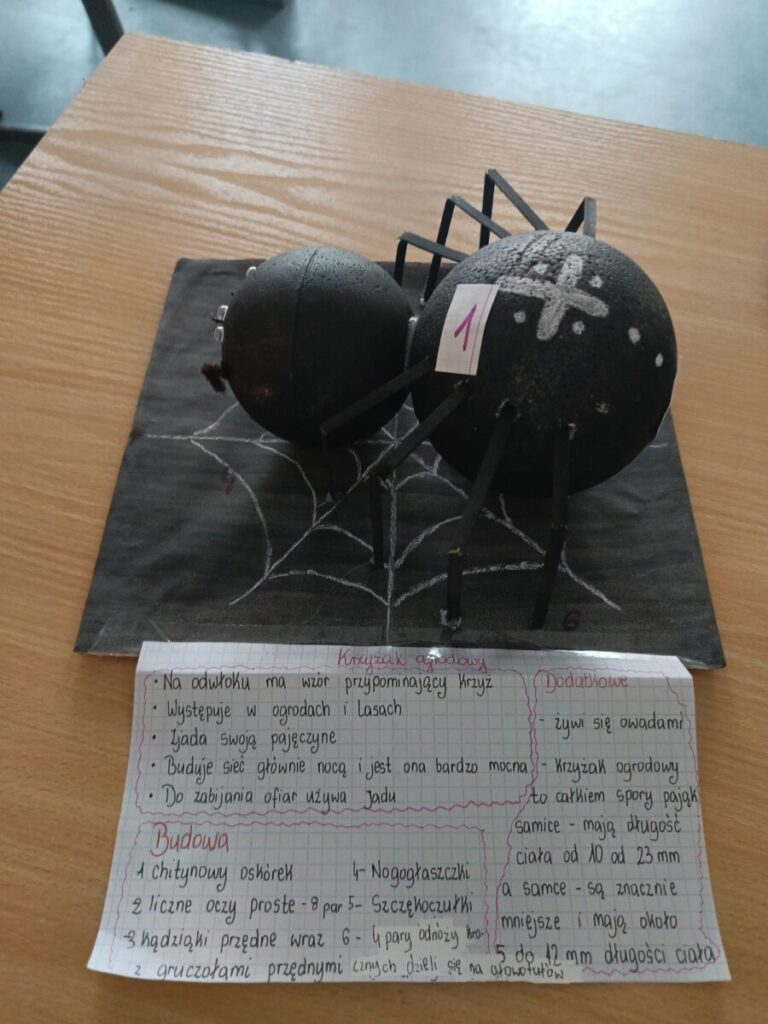 1b754e68 1902 4365 9368 E782bf0bdbd8