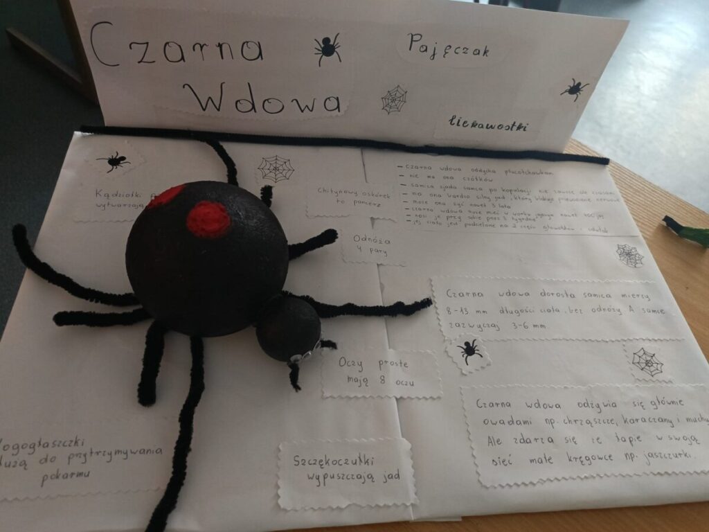 502b6f40 B88e 4e0b Bb51 E24744f08174