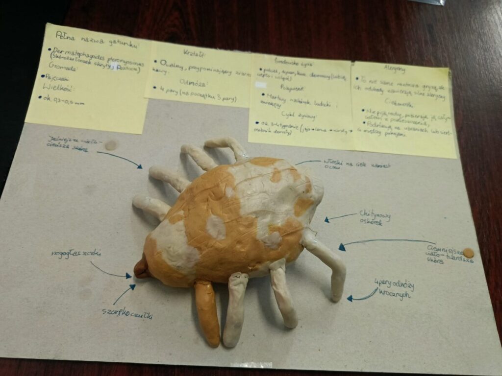 5e694159 5b3f 4316 B46f 231c8f20188f