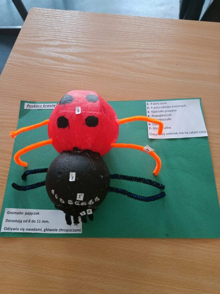 Cc3df4c7 609a 4be7 8f5f E2a01deaf12c