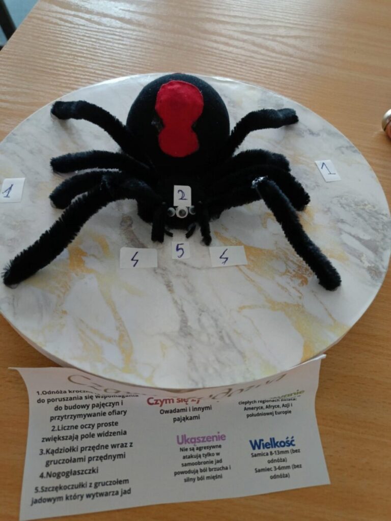 Cd11705e 8e4f 46f6 95f9 499f7c9863f8