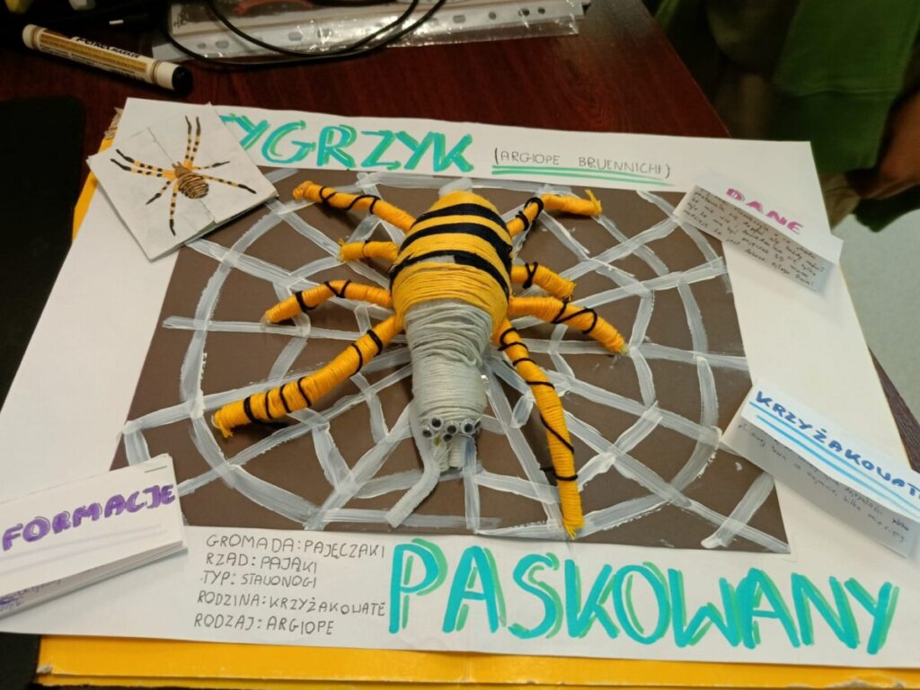 F4916b16 Dc8b 4b0d 93e8 C492b66030c1