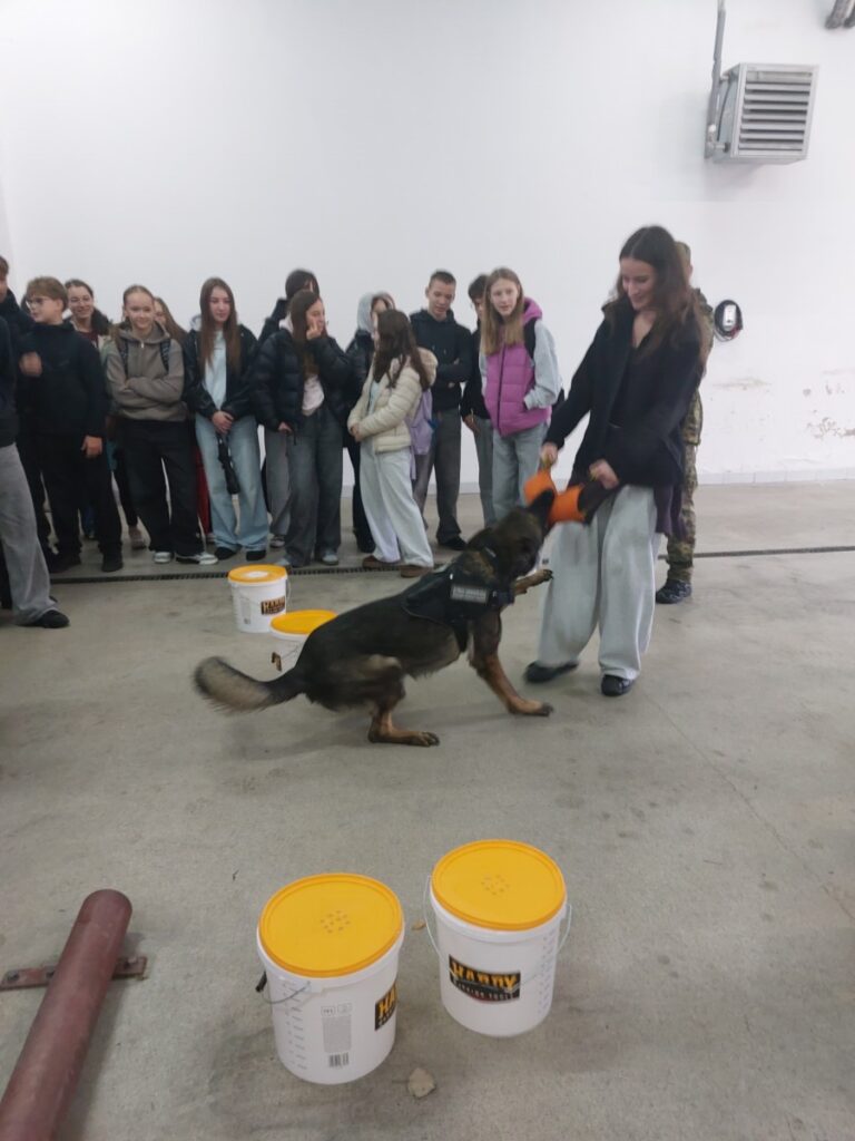 20261022 105131